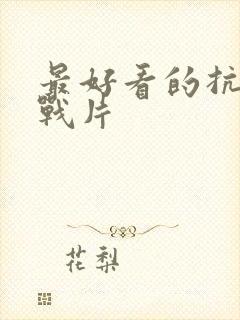 最好看的抗日谍战片