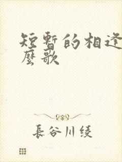 短暂的相逢是什么歌