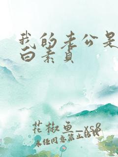 我的老公是条狗白素贞