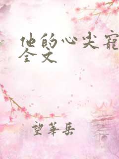 他的心尖宠阅读全文