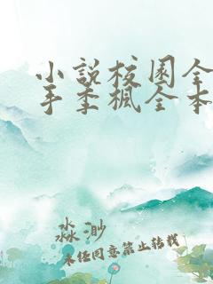 小说校园全能高手季枫全本免费下载