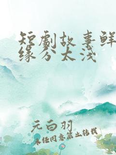 短剧故事鲜艳,缘分太浅