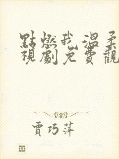 点燃我温柔你电视剧免费观看高清