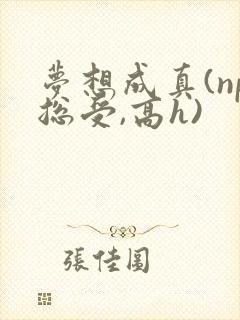 梦想成真(np总受,高h)