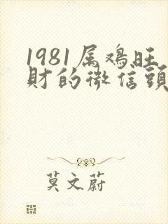 1981属鸡旺财的微信头像