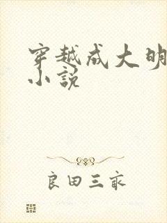 穿越成大明崇祯小说