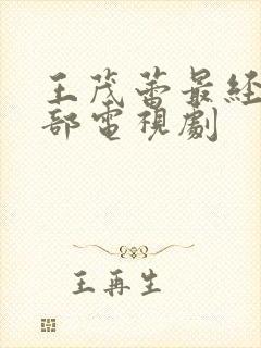 王茂蕾最经典十部电视剧