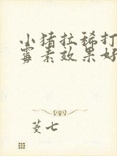 小猪拉稀打庆大霉素效果好吗