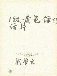 1级黄色录像生活片