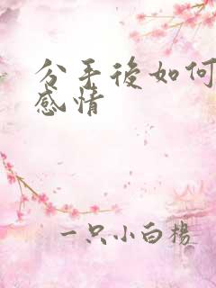 分手后如何挽回感情