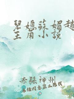 儿媳苏媚赵大宝主角小说