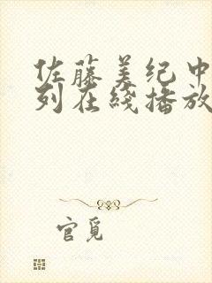 佐藤美纪中文系列在线播放