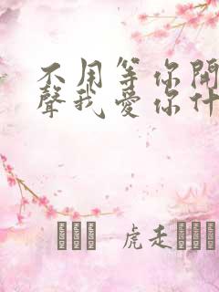 不用等你开口说声我爱你什么歌