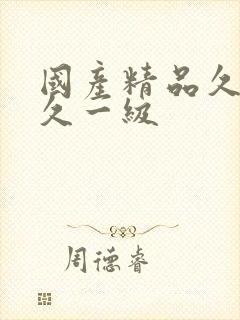 国产精品久久久久一级