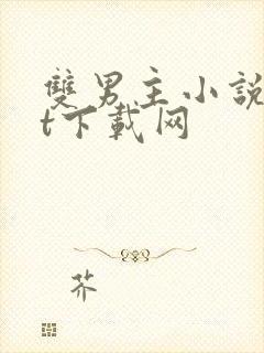 双男主小说txt下载网