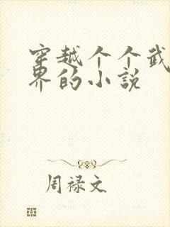穿越个个武侠世界的小说