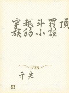 穿越斗罗顶尖家族的小说