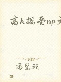 高h总受np文