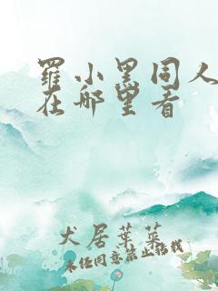 罗小黑同人漫画在哪里看