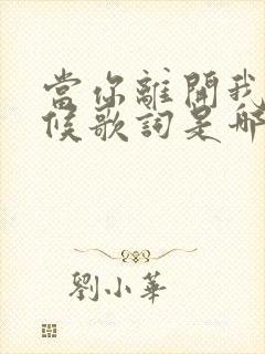 当你离开我的时候歌词是哪首歌