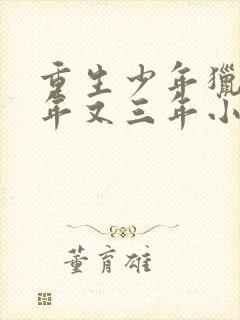 重生少年猎美三年又三年小说免费阅读下载