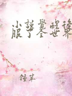 小说觉醒后我征服了全世界