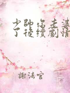 少帅你老婆又跑了后续剧情