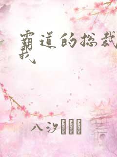 霸道的总裁爱上我