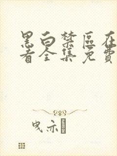 黑白禁区在线观看全集免费播放