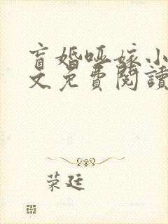 盲婚哑嫁小说全文免费阅读