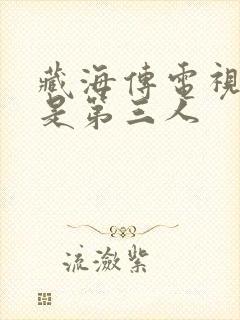 藏海传电视剧谁是第三人