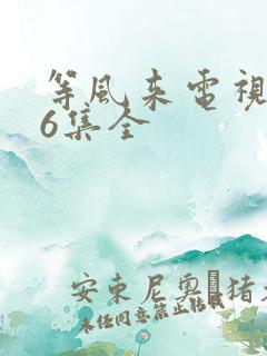 等风来电视剧36集全