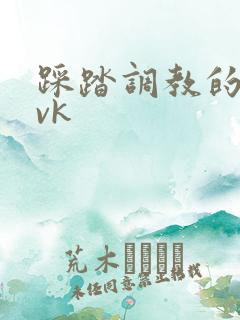 踩踏调教的视频vk