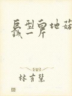 巨型白地菇多少钱一斤