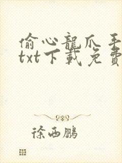 偷心龙爪手全本txt下载免费