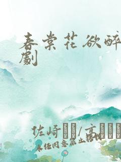 春棠花欲醉 短剧