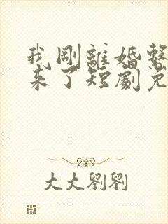 我刚离婚系统就来了短剧免费全集