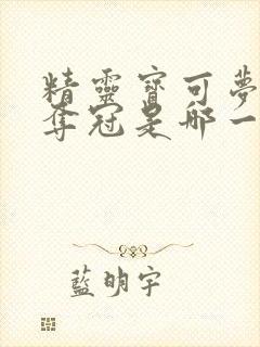 精灵宝可梦小智夺冠是哪一部