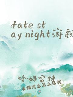 fate stay night游戏剧情