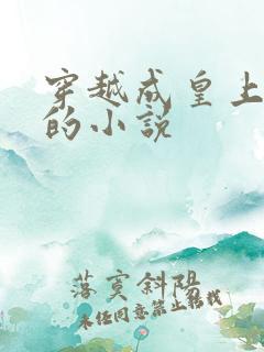 穿越成皇上替身的小说