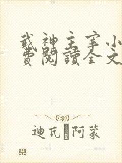 武神主宰小说免费阅读全文无删减
