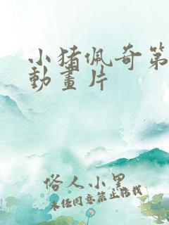 小猪佩奇第八季动画片