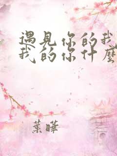 遇见你的我碰到我的你什么歌名