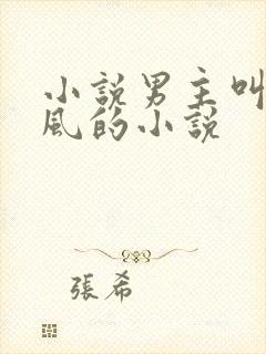 小说男主叫沈南风的小说