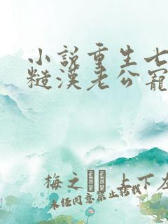 小说重生七零:糙汉老公宠妻成瘾小说