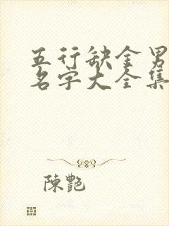 五行缺金男孩取名字大全集