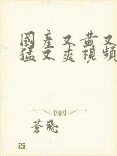 国产又黄又粗又猛又爽视频