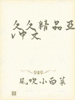 久久精品亚洲av中文