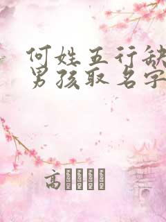 何姓五行缺火的男孩取名字