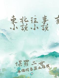 东北往事 有声小说小说